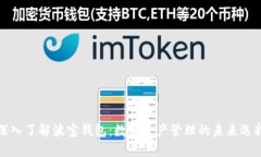 深入了解波宝钱包：数字