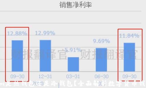 
深入探讨：Token.im是热钱包还是冷钱包？全面解析数字货币钱包的种类与安全性