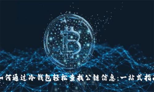 如何通过冷钱包轻松查找公链信息：一站式指南