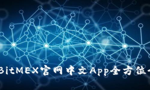 迈向金融未来：BitMEX官网中文App全方位介绍与使用指南