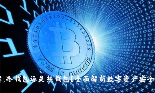 OK钱包详解：冷钱包还是热钱包？全面解析数字资产安全存储的选择