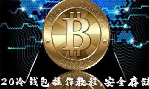 
详尽指南：TRC20冷钱包操作教程，安全存储你的数字资产