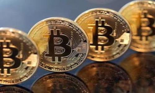 

TP钱包中的SHIB链：全面解析其功能与使用场景