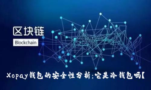 Xopay钱包的安全性分析：它是冷钱包吗？