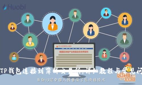 如何将TP钱包连接到薄饼交易所，详细教程与常见问题解答