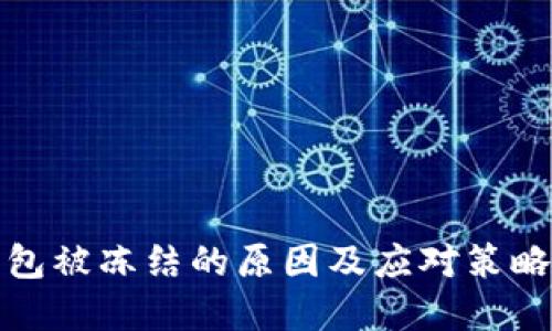 冷钱包被冻结的原因及应对策略详解