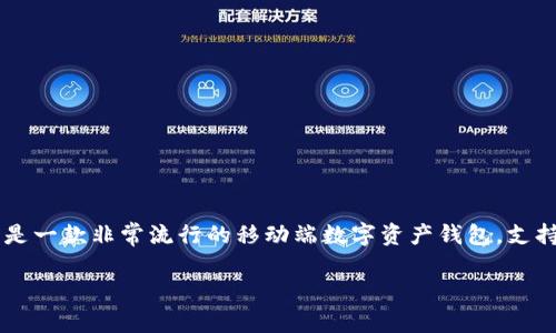 在讨论如何通过TP钱包访问游戏之前，首先需要了解TP钱包的功能及其在区块链圈中的应用。TP钱包（TokenPocket）是一款非常流行的移动端数字资产钱包，支持多种区块链及其代币，并具备与去中心化应用（DApp）连接的能力。接下来我们将详细介绍如何使用TP钱包打开游戏。

如何通过TP钱包访问并畅玩区块链游戏的详细指南