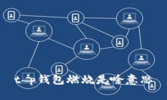 t p钱包燃烧是啥意思