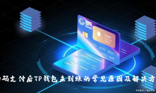 扫码支付后TP钱包未到账的常见原因及解决方法
