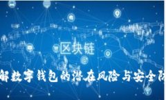 深入了解数字钱包的潜在