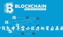 深入探讨：TP钱包中丰富小