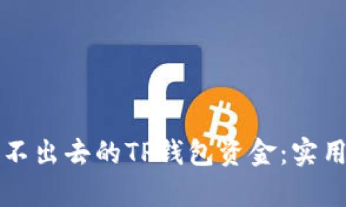 如何成功追回转不出去的TP钱包资金：实用指南和案例分析