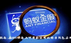 全面指南：在iOS设备上下