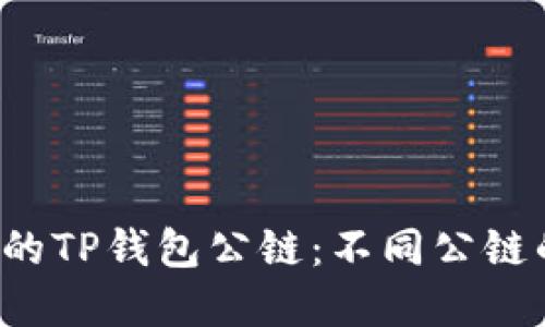  如何选择最适合的TP钱包公链：不同公链的优势与选择指南