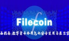 全面指南：数字货币冷钱