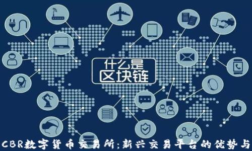 
探索CBR数字货币交易所：新兴交易平台的优势与挑战