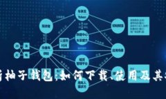 全方位解析柚子钱包：如