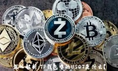 深入解析：TP钱包中的US