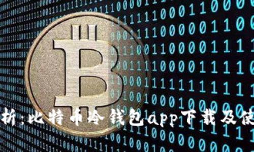 全面解析：比特币冷钱包app下载及使用指南