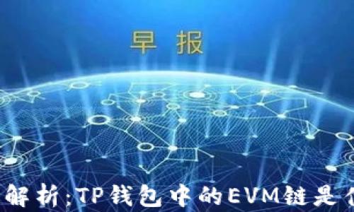 
深入解析：TP钱包中的EVM链是什么？