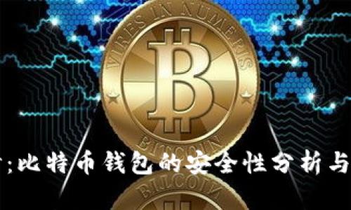 深入探讨：比特币钱包的安全性分析与选择指南