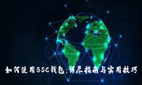 如何使用BSC钱包：详尽指南与实用技巧