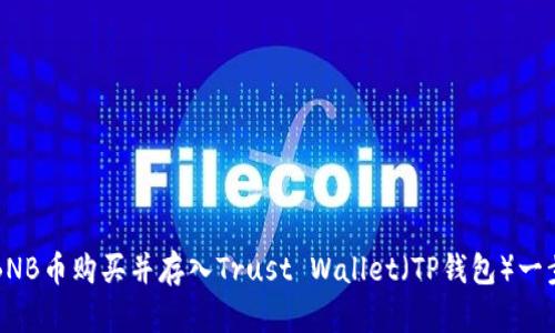 如何将BNB币购买并存入Trust Wallet（TP钱包）一步步指南