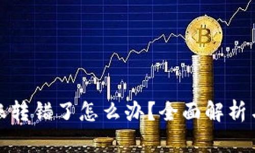 TP钱包转账转错了怎么办？全面解析与解决方案