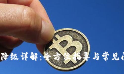   tP钱包降级详解：全方位指导与常见问题解答 